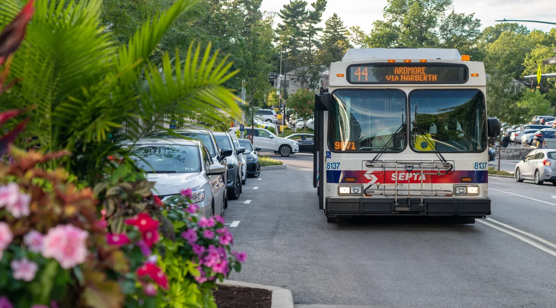 The number 44 SEPTA bus coming up the tree-lined street
